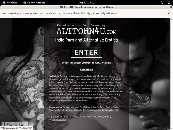 Altporn4u.com Passwords For Free
