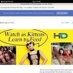 Americankittens Sex Movies