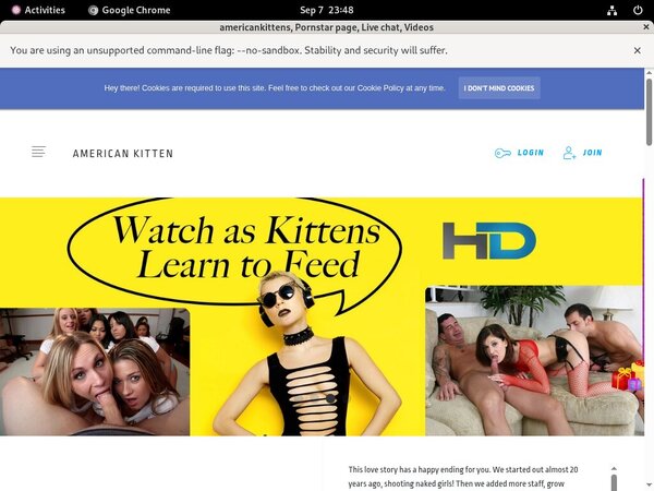 [Image: Americankittens-Sex-Movies.jpg]
