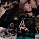 Daily Subspace Land Accounts