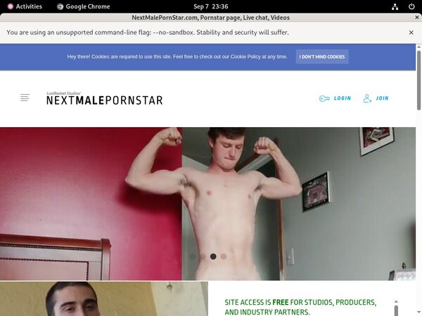 Discount NextMalePornStar.com Save 50%