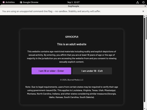 Free Access To Gay Hoopla