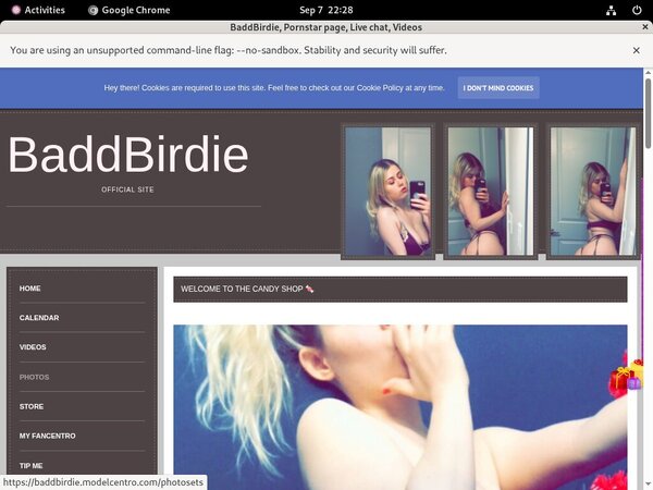 Free BaddBirdie Accounts Premium