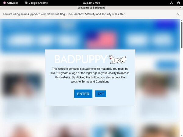 Free Badpuppy.com Account New