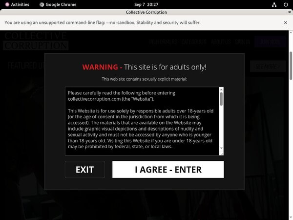 Is Collectivecorruption.com Real