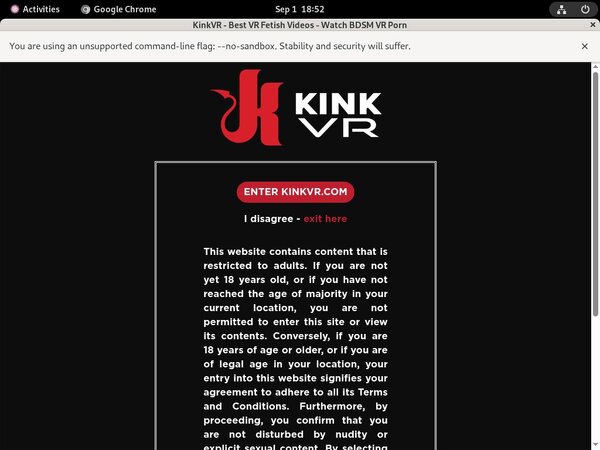 Kink VR Renew Password