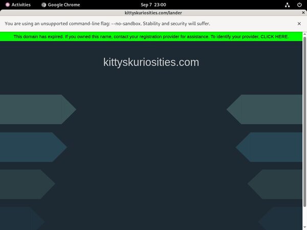 Kitty's Kuriosities Free Trial Access