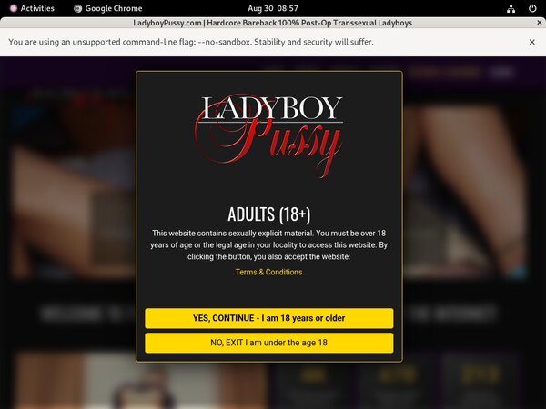 Ladyboy Pussy Wallpaper