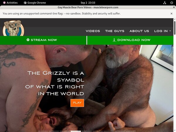 Muscle Bear Porn ????