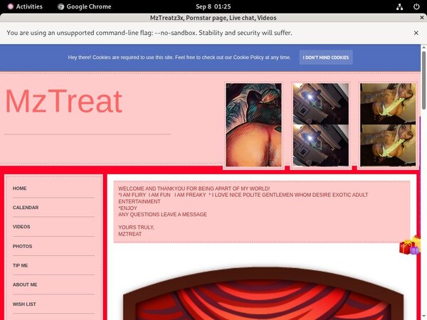 Mzislandtreat69gmailcom.modelcentro.com Billing Page