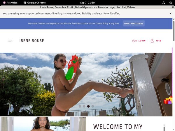 Passwords To Irene Rouse