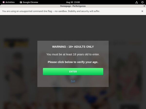 Perfect Gonzo Full Video