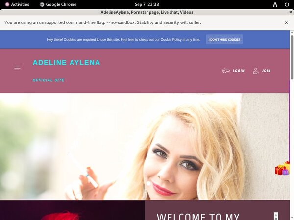 Premium Accounts Adelineaylena.modelcentro.com
