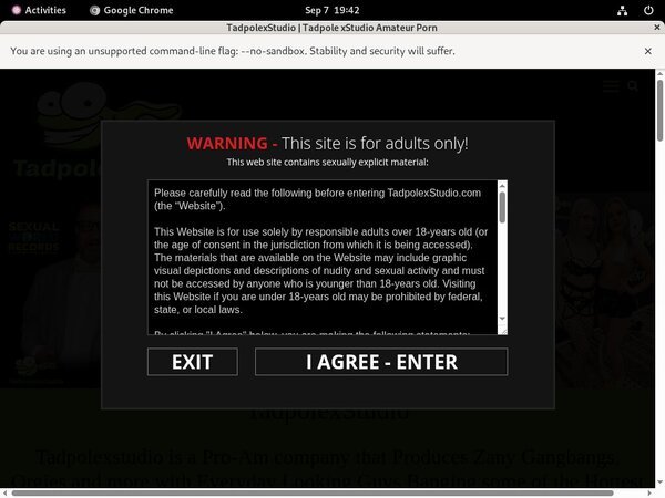 Tadpole X Studio Web