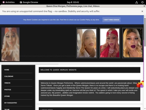 Thequeenmorgan.net Model