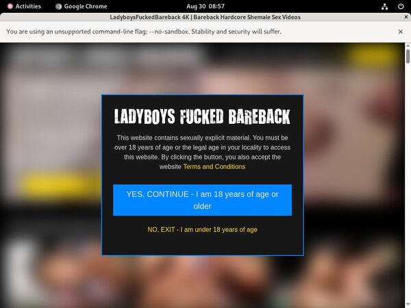Trial Ladyboys Fucked Bareback
