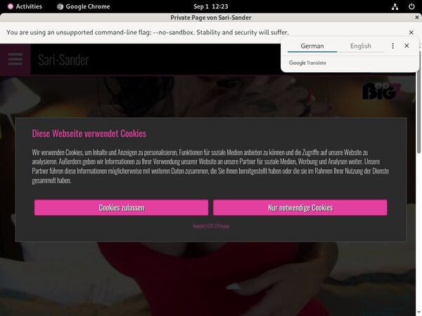 User Sari Sander