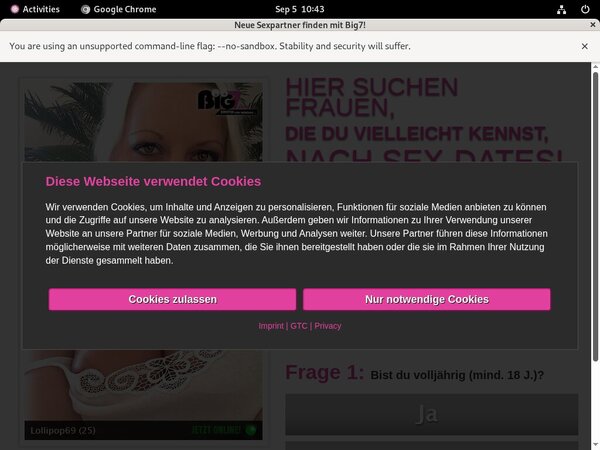 Your Secret Dream Webbilling