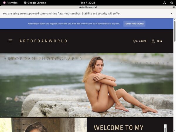 Artofdan Premium Password