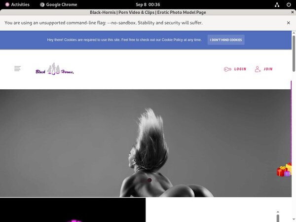 B L A C K - H O R N I S Checkout Page