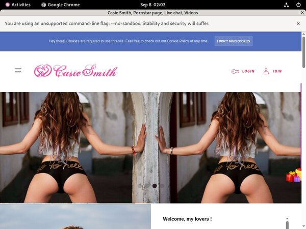 Casiesmith.modelcentro.com Accont