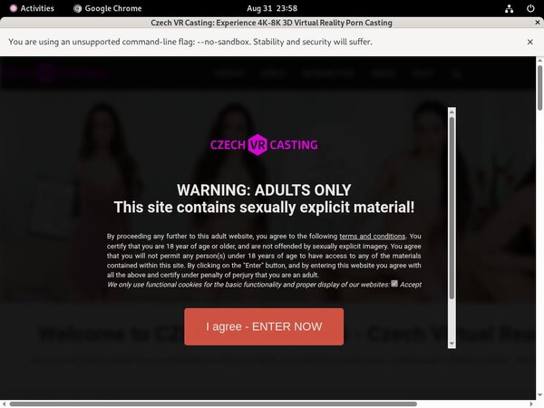 Free Czechvrcasting Account Login