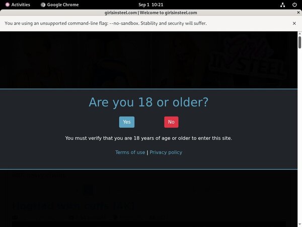 Girlsinsteel Account 2014