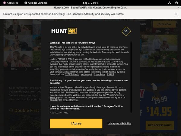 Hunt 4k 2020