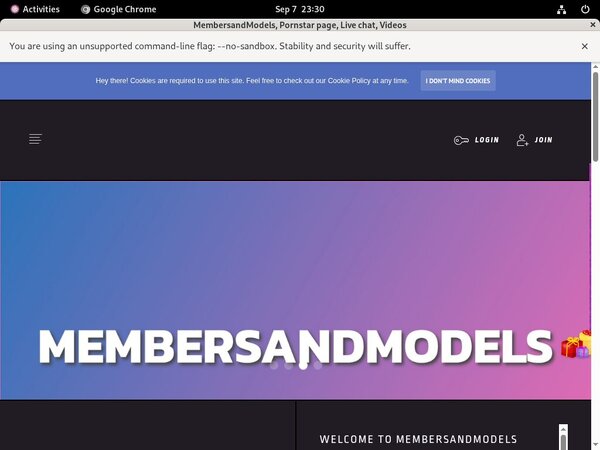MembersandModels Premium Account