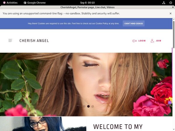 Passwords CherishAngel Free
