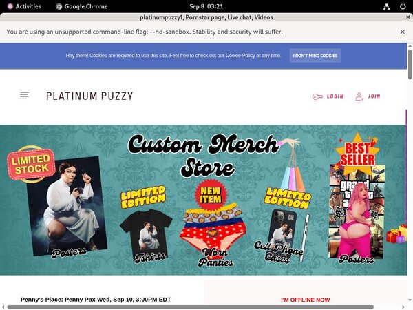 Platinumpuzzy.net Coupon Link