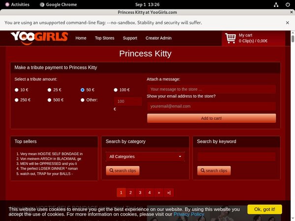 Princess Kitty Coupon Link