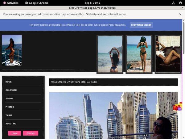 Sibel Register Form