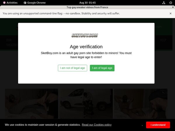 Sketboy Sign Up Page