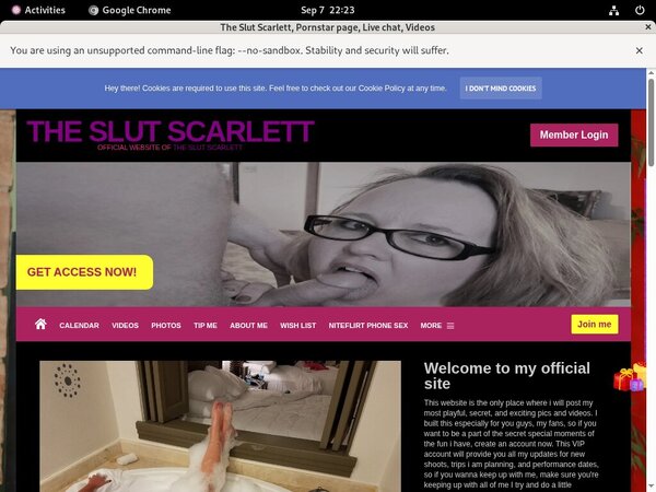 The Slut Scarlett Hot Sex