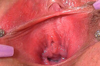 Gape My Pussy Account List s2
